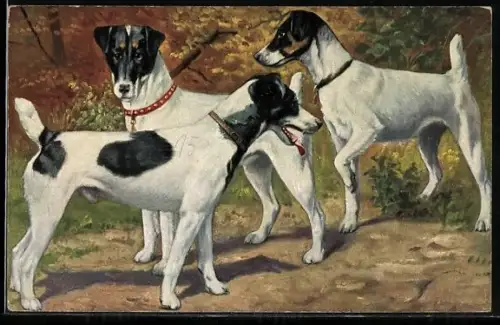 Künstler-AK Drei schwarz-weiss gefleckte Terrier
