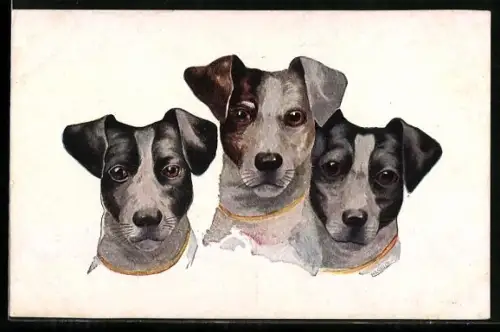Künstler-AK Drei Terrier mit neugierigem Blick