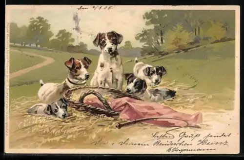 Künstler-AK Meissner & Buch (M&B) Nr. 1275: Terrier neben einem Korb