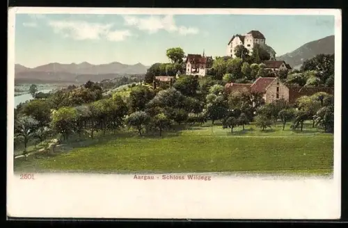 AK Wildegg /Aargau, Blick aufs Schloss