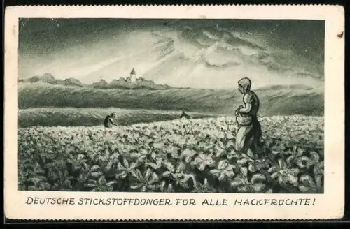 AK Reklame dt. Stickstoffdünger für alle Hackfrüchte, Arbeiter auf Feld