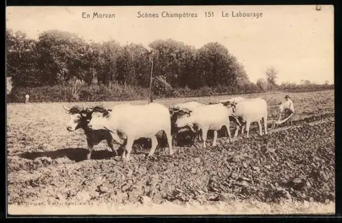 AK En Morvan, Scénes Champêtres, Ochsengespann zieht einen Pflug