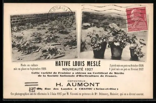 AK Chatou, Reklame für Dünger, Hative Louis Meslé, H. Aumont, Rue des Landes 87, Pieds en culture