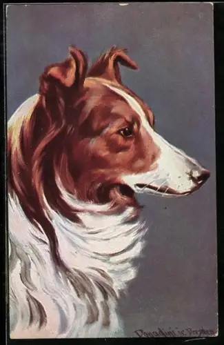 Künstler-AK Ermenegildo Antonio Donadini: Collie, Schäferhund