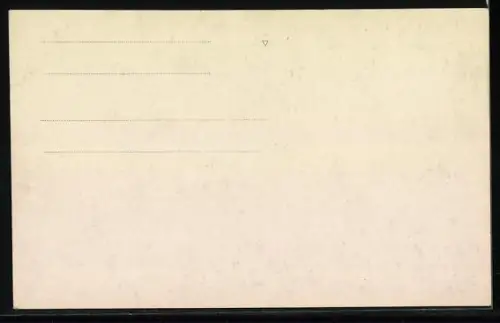 AK Sofia, Place Al. Nevsky