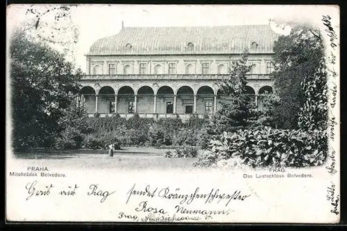 AK Prag / Praha, Das Lustschloss Belvedere mit Anlagen