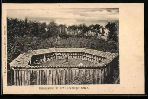AK Lüneburger Heide, Bienenstand mit Umgebung