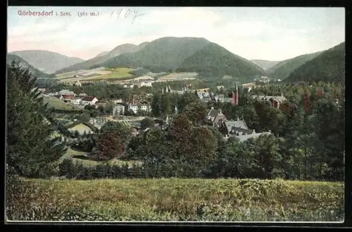 AK Görbersdorf i. Schl., Totalansicht mit Umgebung