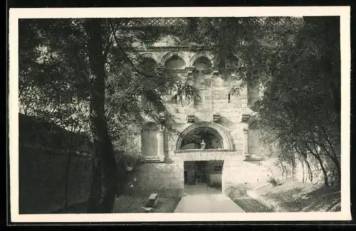 AK Split, Porta aurea