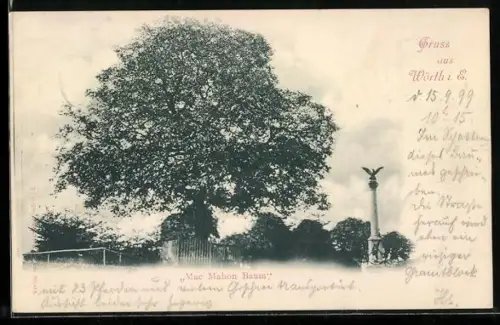 AK Wörth, Mac Mahon Baum