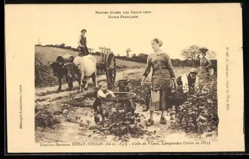 Künstler-AK Languedoc, Coin de Vigne, Weinlese