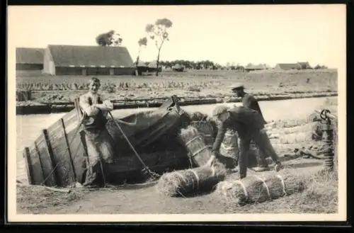AK Le rouissage dans le Courtraisis, Verladen von Flachs auf Boot