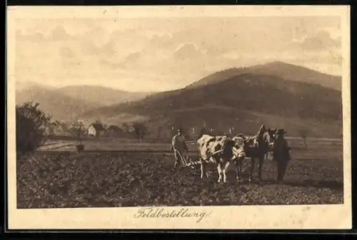AK Zwei Bauern mit Pflug auf dem Feld