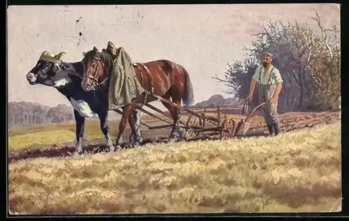 Foto-AK Deutscher Soldat beim Bereiten des Ackers im Feindesland, Ochse-Pferdgespann