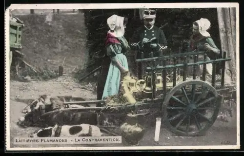 AK Laitières flamande, la Contravention, Milchfrau mit Hundegespann und Polizist