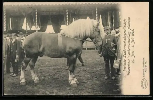 AK München, 19. Wanderausstellung der Deutschen Landwirtschaftsgesellschaft 1905, Zugpferd