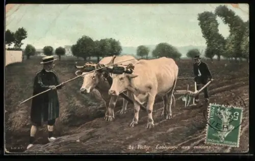 AK Vichy, Labourage aux environs, frz. Bauern mit Ochsenpflug bei der Feldarbeit