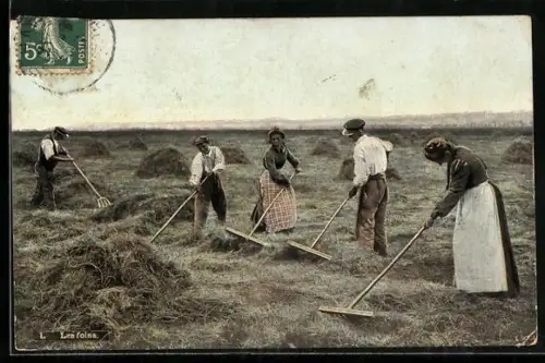 AK Les foins, Heuharken, Landwirtschaft