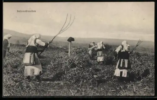 AK Bauern beim Bohnendreschen