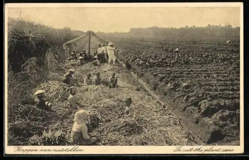 AK Kinder bei der Arbeit auf dem Acker