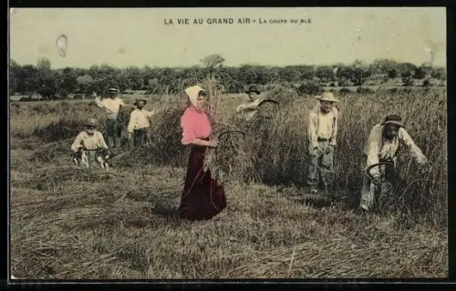AK La Vie au Grand Air, La coupe du Ble