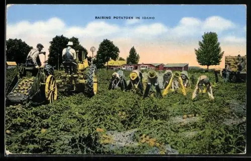 AK Idaho, Arbeiter bei der Kartoffelernte