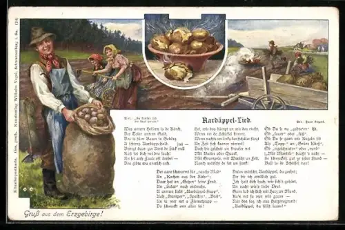 Künstler-AK Rudolf Schneider: Aardäppel-Lied, Kartoffelernte und gekochte Kartoffeln, Liedtext