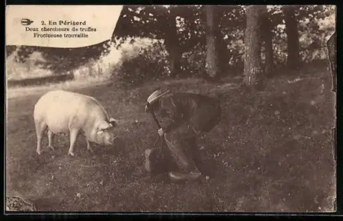 AK Périgord, Deux chercheurs de truffes Fructueuse trouvaille, Trüffelschwein