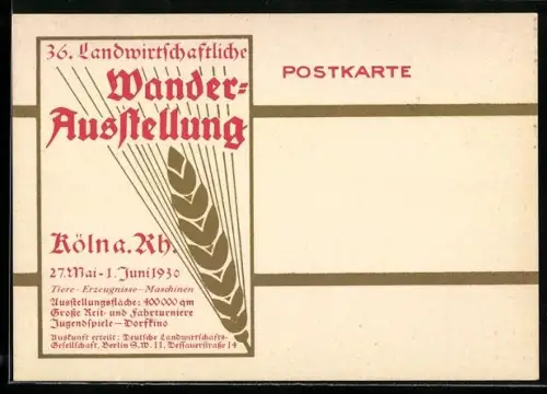 AK Köln / Rhein, 36- Landwirtschaftliche Wanderausstellung 1930, Getreideähre