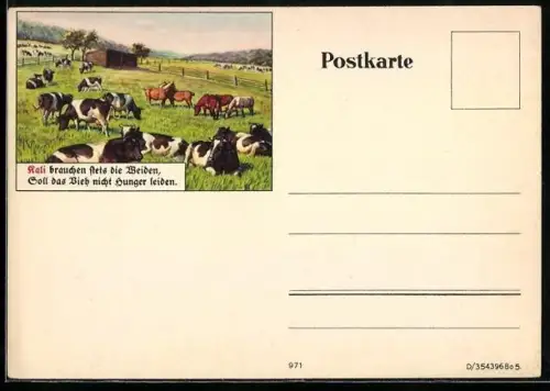 AK Reklame Kali, Kühe weiden auf einer vollen Wiese