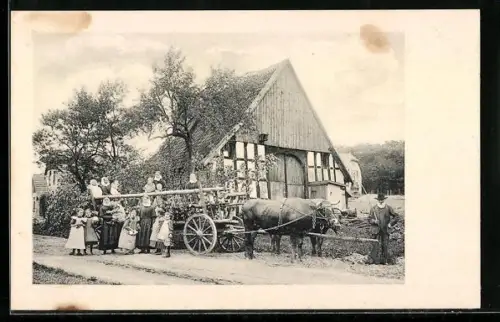 AK Bethel, Ochsen-Gespann mit Kindern und Frauen