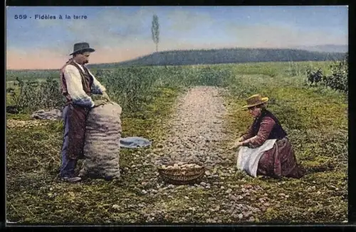 AK Fidèles à la terre, Kartoffelernte