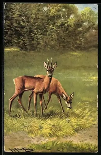 Künstler-AK August Müller - München: Rehe am Waldrand