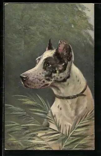 Künstler-AK M. Müller jun.: Profil eines Hundes