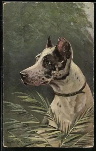 Künstler-AK M. Müller jun.: Profil eines Hundes