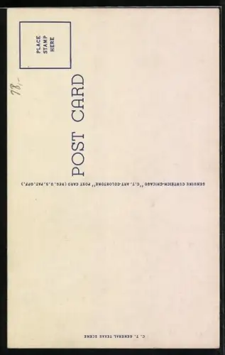 AK Texas Cowboy Skinning a Jack Rabbit