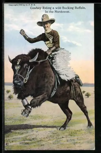 AK Canada, Cowboy Riding a wild bucking Buffalo