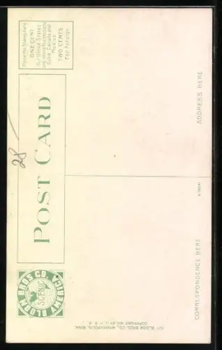 AK Canada, Cowboy Riding a wild bucking Buffalo