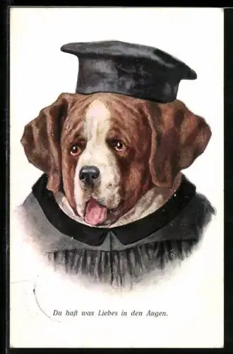 AK vermenschlichter Hund im Talar mit Mütze