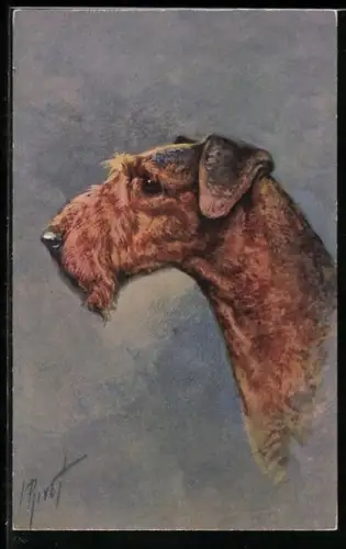 AK Seitenportrait eines Airdale-Terriers
