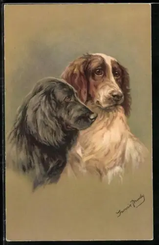 AK Schwarzer und brauner Jagdhund