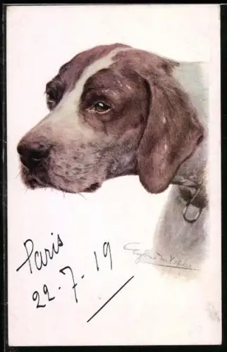 AK Kopf eines Jagdhundes