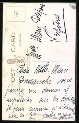 AK Kopf eines Jagdhundes