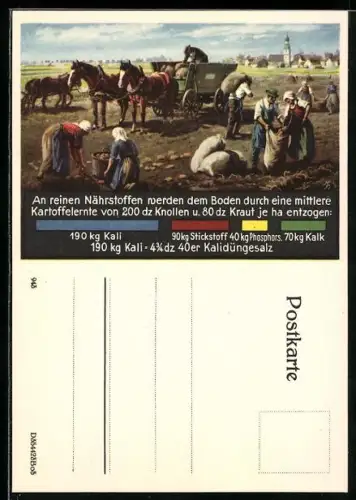 AK Bauern bei der Kartoffelernte, Reklame Kalidüngesalz