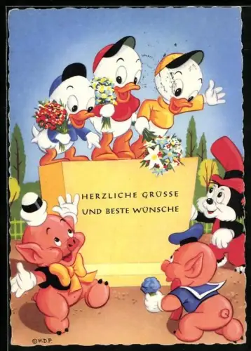 AK Tick, Trick und Track mit Schweinchen und dem kleinen Wolf