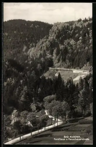 AK Bad Kudowa, Forsthaus und Heuscheuerstrasse
