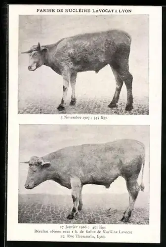 AK Farine de Nucleine Lavocation a Lyon, Reklame