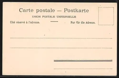 AK Colombier, Le château