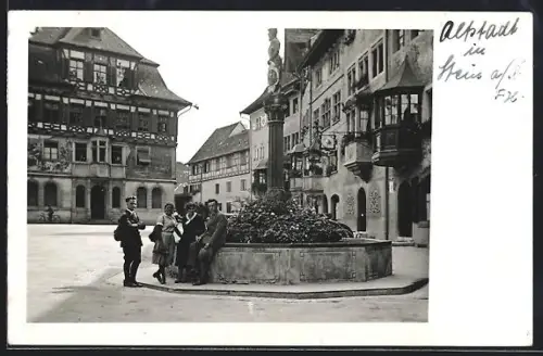 Foto-AK Stein am Rhein, Altstadt mit Grünanlage