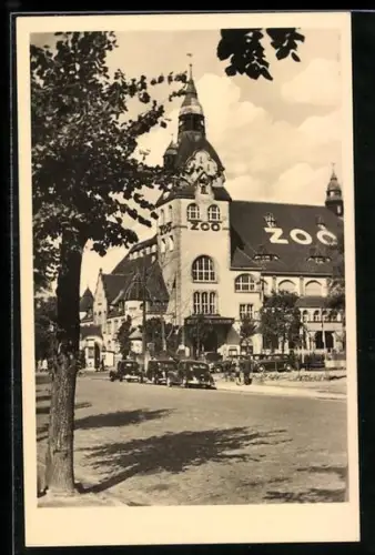 AK Leipzig, Partie am Zoologischen Garten